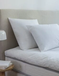 Oreiller Antiacarien Dodo® Proneem® Moelleux