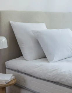 DODO Oreiller Anti-acariens Proneem® Ferme