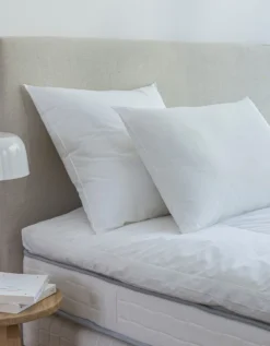 Oreiller Qualité Hôtellerie Ferme