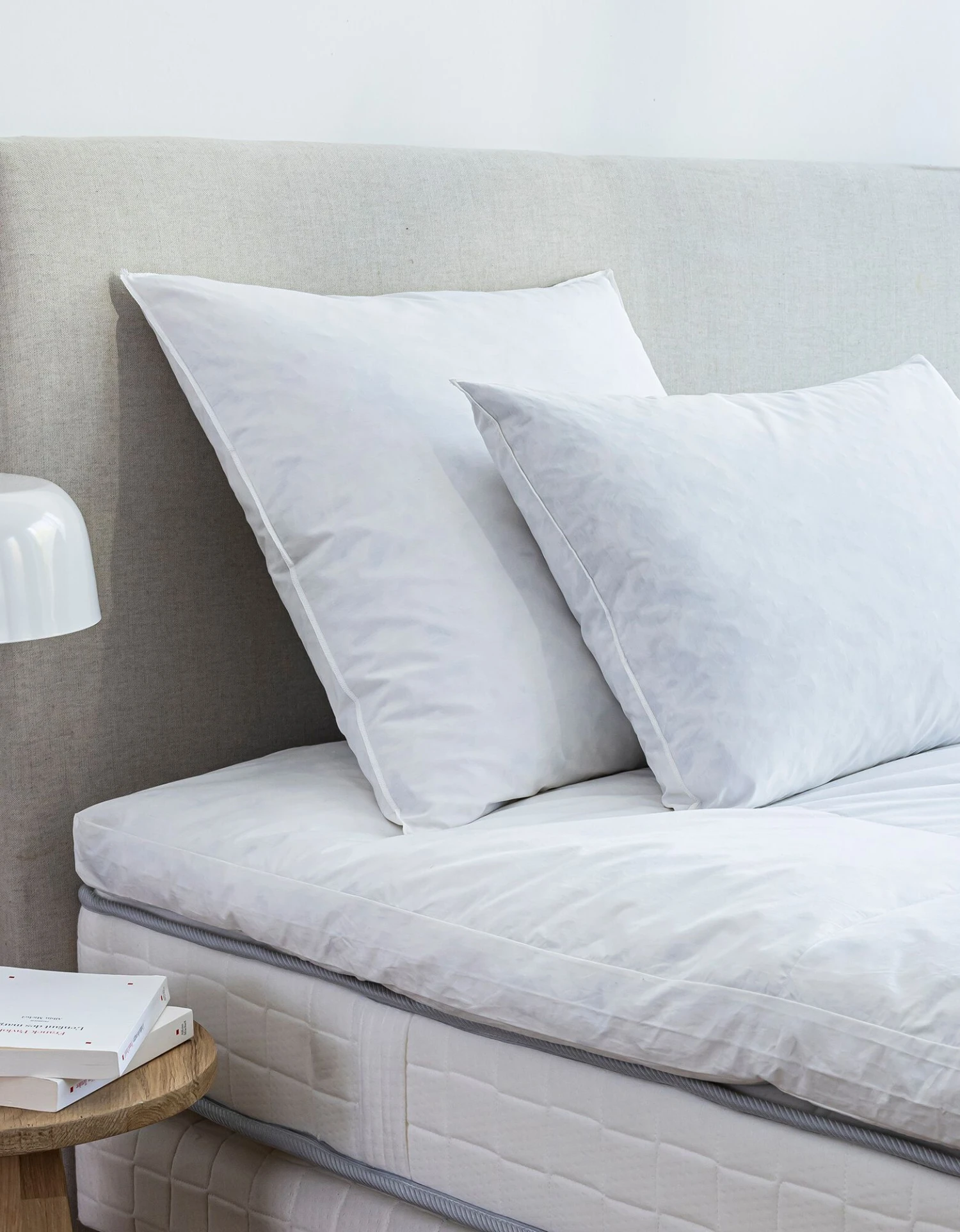 Oreiller Plumes 1 Oreiller Plumes