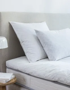 Oreiller Plumes En Lot De 2