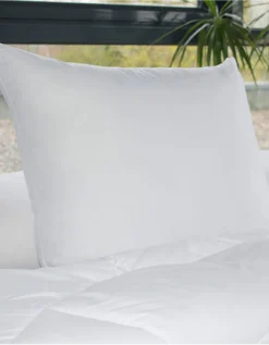 Oreiller Anti-transpiration En Microfibre Passerelle® Confort Ferme