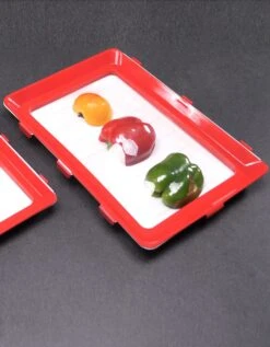 Plateau De Conservation Clever Tray - Lot De 2 -Maison Textiles Magasin 237006 C01 zoomx vue3