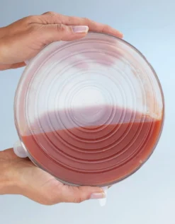 Couvre-pots Extensibles En Silicone Transparent - Lot De 6 -Maison Textiles Magasin 237087 C01 zoomx vue3