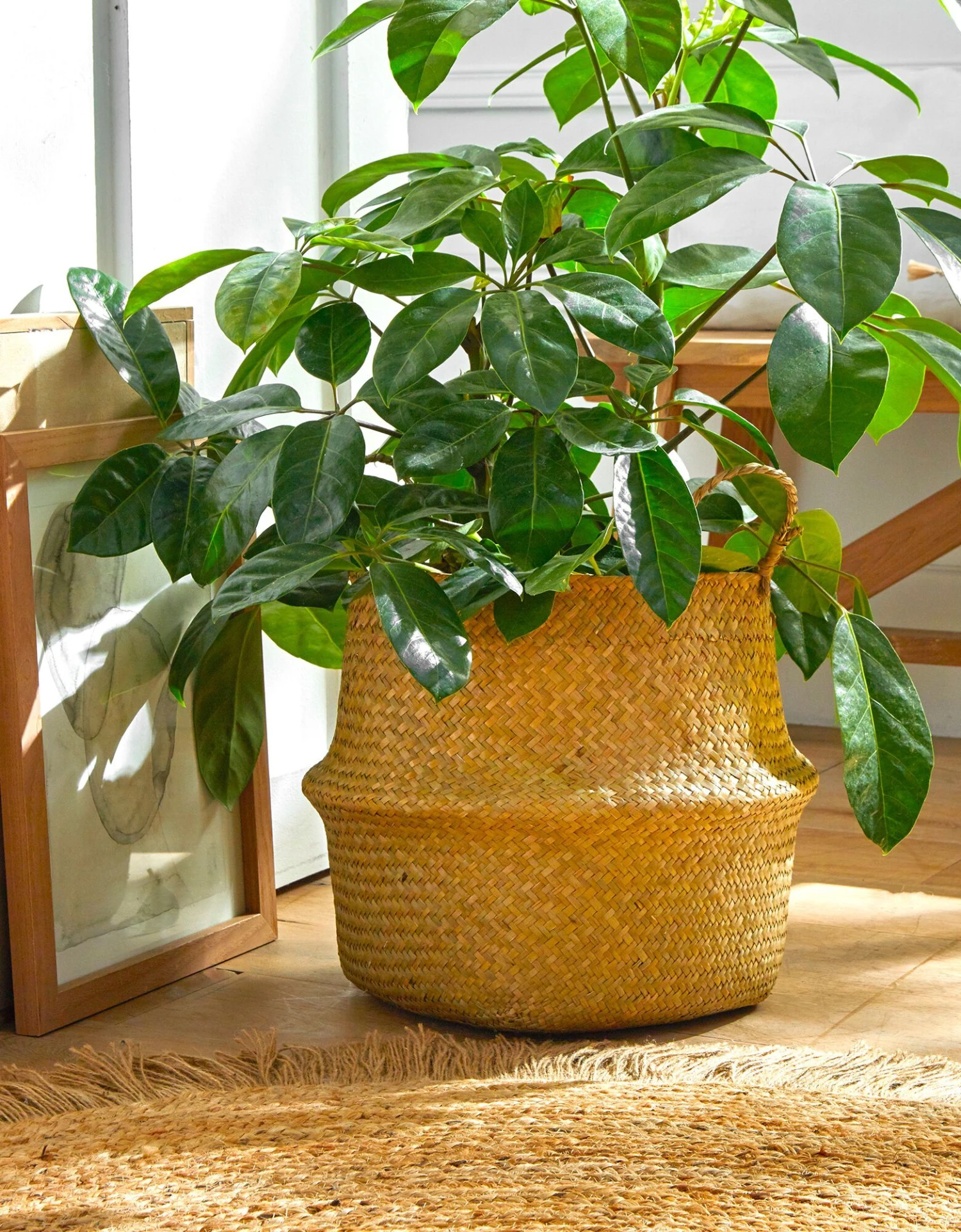 Panier Pliable Jonc De Mer 1 Panier Pliable Jonc De Mer