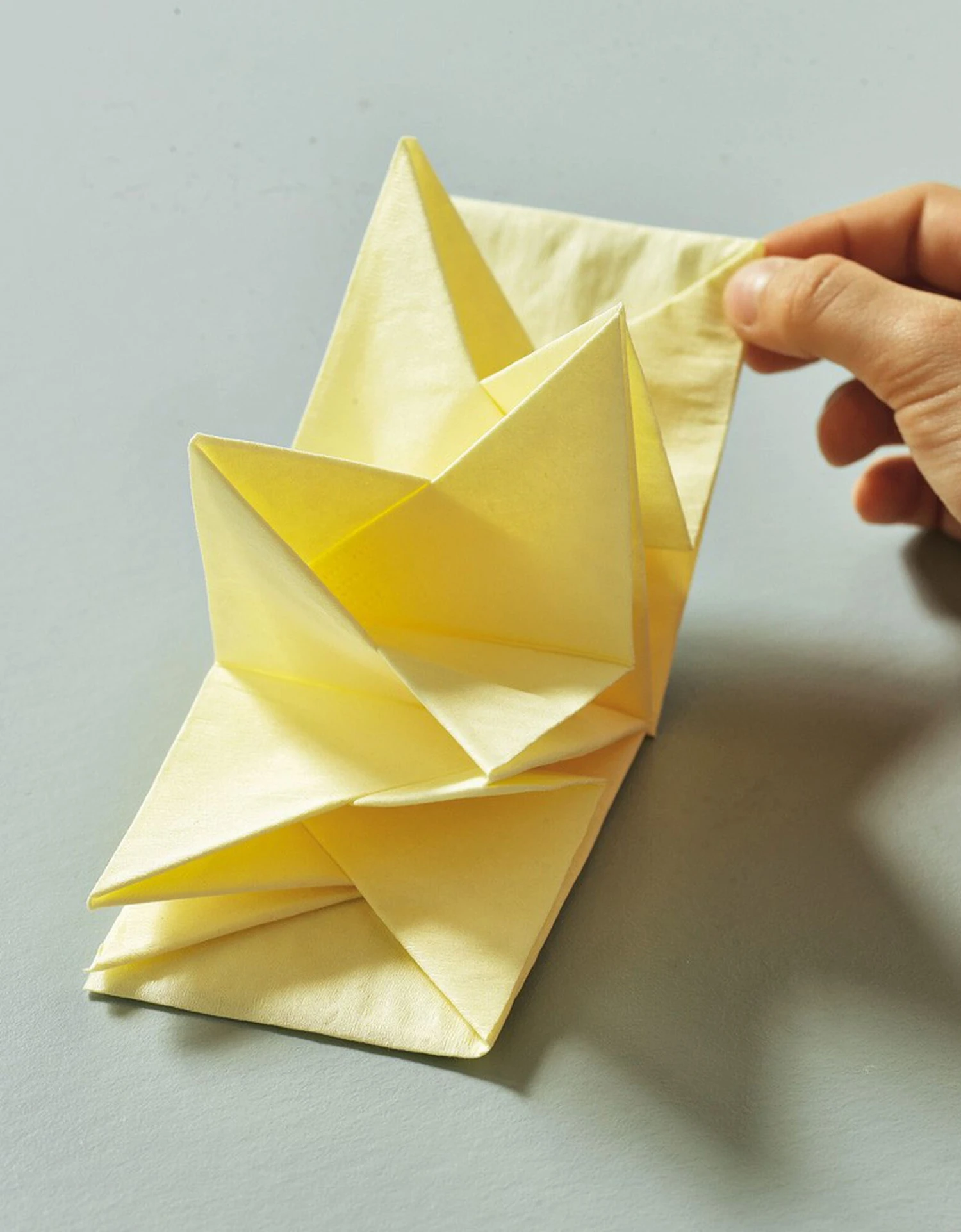 Lot De 12 Serviettes Prépliées 1 Lot De 12 Serviettes Prépliées