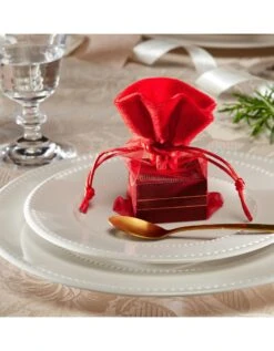 Lot De 12 Sacs Emballages Cadeaux En Organza