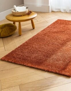 Tapis Douceur Et Confort -Maison Textiles Magasin 291053 C02 zoomx vue6