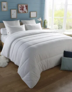 DODO Couette Anti Punaises De Lit Et Antibactérien - 300g/m2