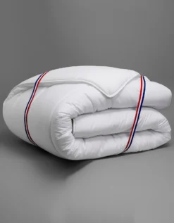 DODO Couette Anti Punaises De Lit Et Antibactérien - 300g/m2 -Maison Textiles Magasin 320687 C01 zoomx vue4